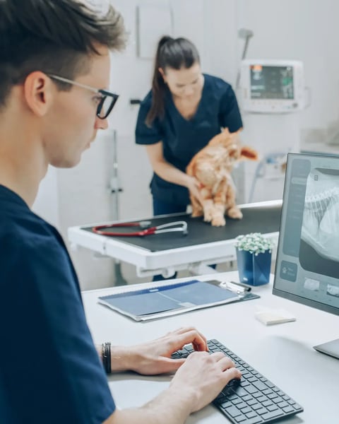 man viewing cat scan on screen